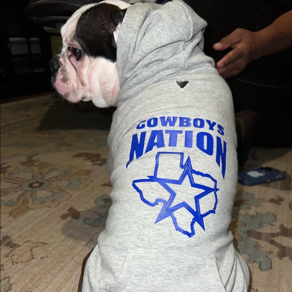 Dog hoodie CUSTOMIZED